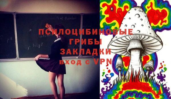 mix Осинники