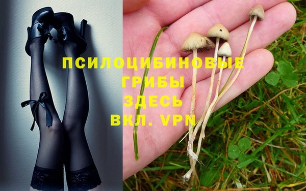 a pvp Осташков