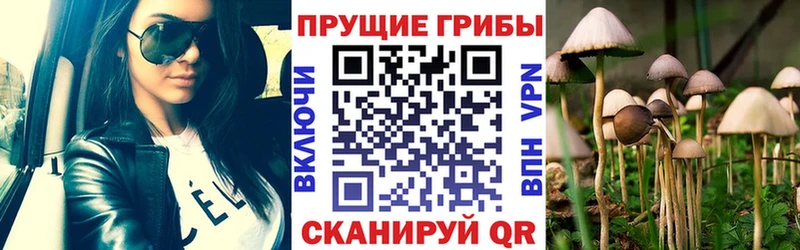 Галлюциногенные грибы прущие грибы  Саки 