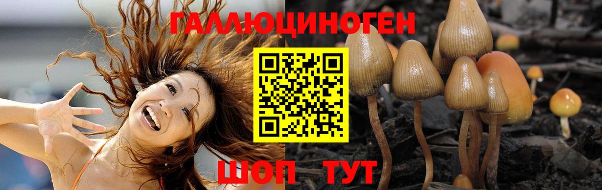 Саки  Псилоцибиновые грибы мицелий  Вход с VPN 